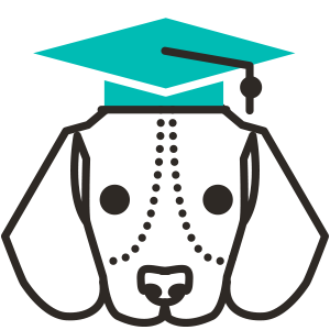 Dog Training, Dog Walking
