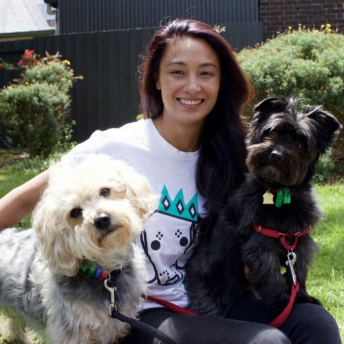 Guide Dog Training Qualifications Guide Dog Training Qualifications