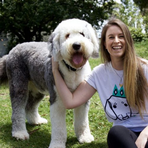 Puppy Dog Park Association Of Professional Dog Trainers Puppy Dog Park Association Of Professional Dog Trainers
