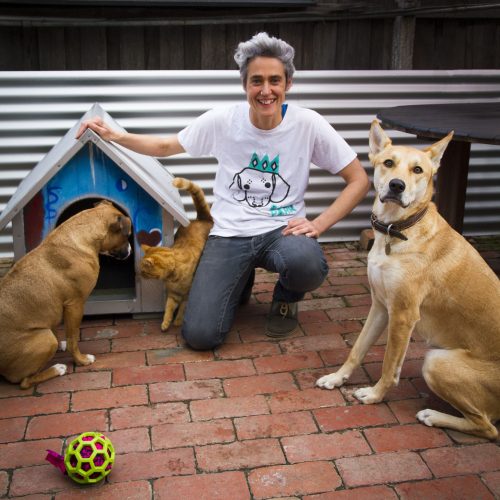 About Bark in the Park dog training dog walking